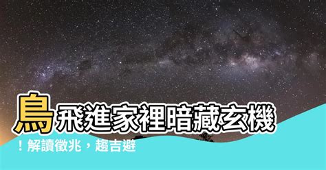 鳥飛進 家裡 代表什麼|【鳥飛進家裡】家有喜事來了！鳥飛進家裡預示著什麼吉凶？